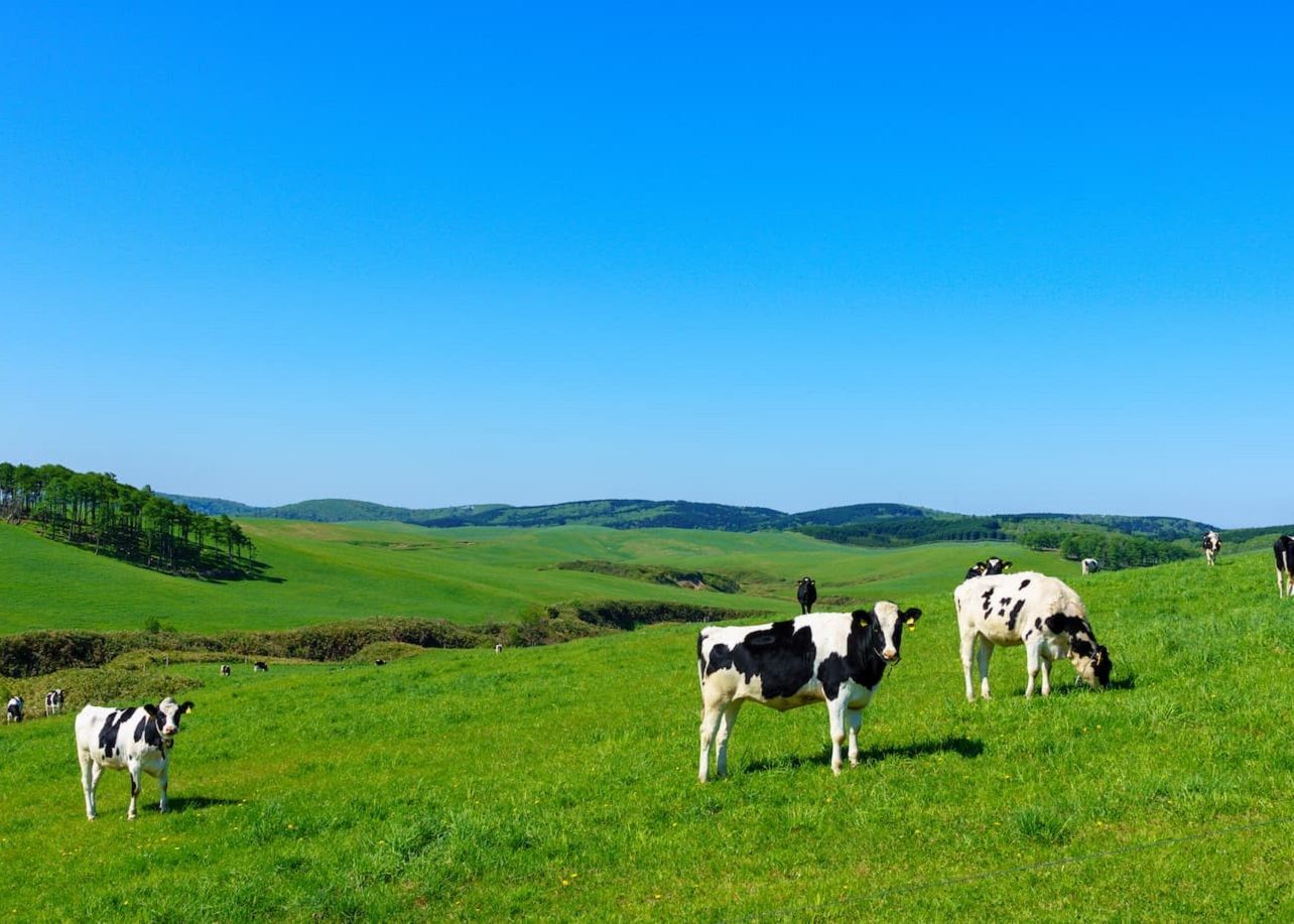 北海道のM&A事情
