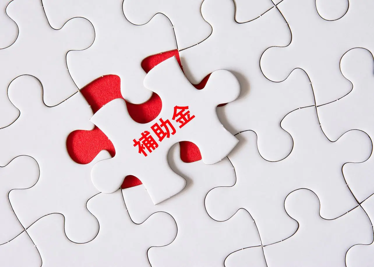 連載「会計事務所のための補助金解説」②】初めてでも分かる補助金の